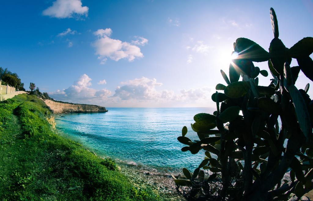 Dandrea Resort أفولا المظهر الخارجي الصورة